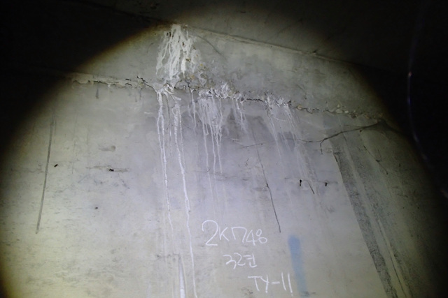 11-3-14(3)백태.jpg